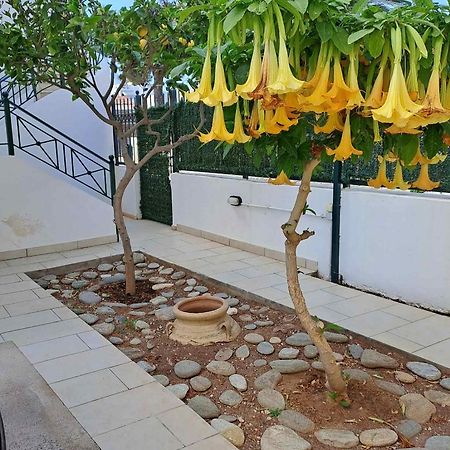 Dimitris Place Near Athens Airport Κορωπί Εξωτερικό φωτογραφία