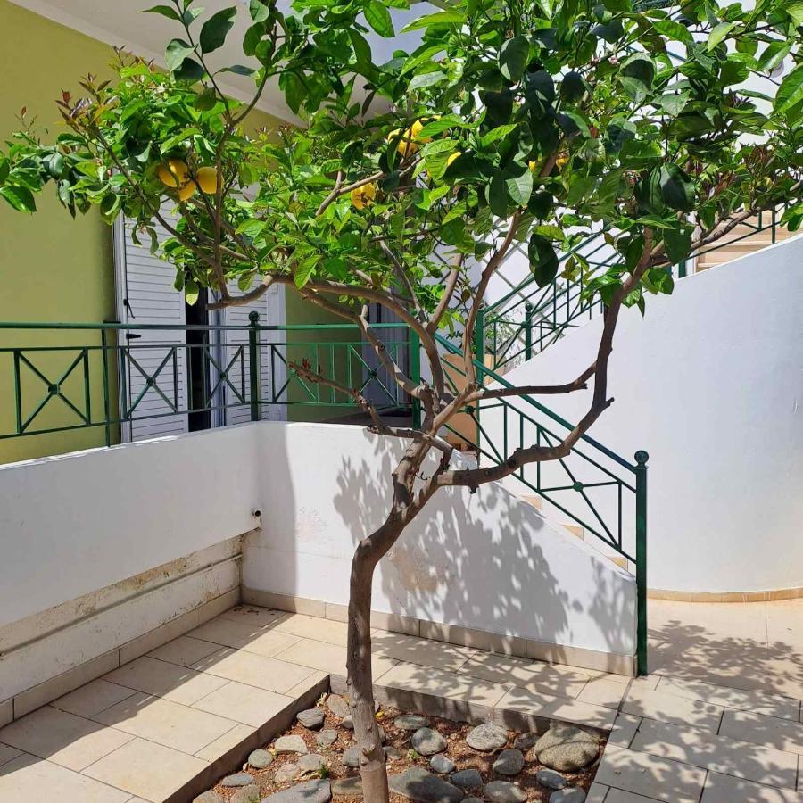 Dimitris Place Near Athens Airport Κορωπί Εξωτερικό φωτογραφία