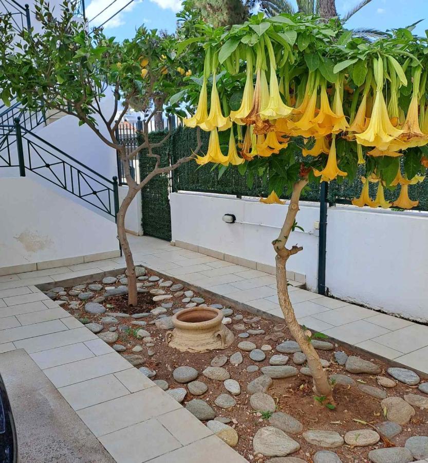 Dimitris Place Near Athens Airport Κορωπί Εξωτερικό φωτογραφία