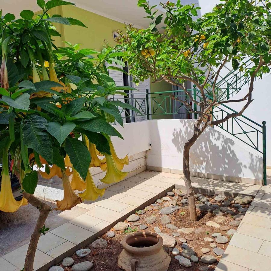Dimitris Place Near Athens Airport Κορωπί Εξωτερικό φωτογραφία